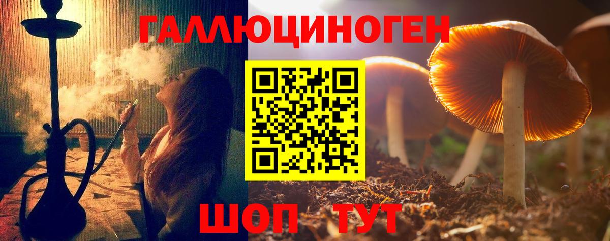 Псилоцибиновые грибы мицелий Обнинск