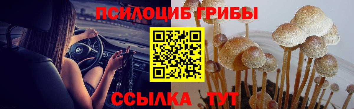 Псилоцибиновые грибы Cubensis  Псилоцибиновые грибы Psilocybine cubensis  Обнинск  Вход с VPN 